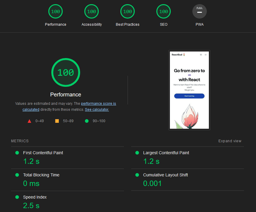 My WIP project's homepage and its perfect Lighthouse performance score.